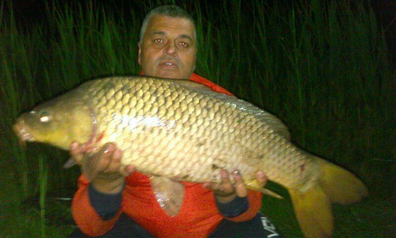 2014 Balta Lazar Alexandria - img-20140505-wa00221.jpg